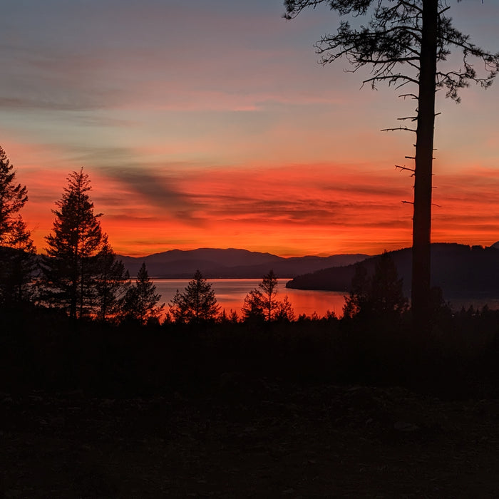 Smolder Aftershave Gel: Igniting the Flames of a Smooth Shave