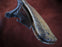 Dylan Farnham Fossil Wal - rus Bone Handle Custom Straight Razor